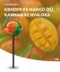 Cannabis Lolly Mango Kush | Kannabisz nyalóka | 1 db