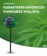 Cannabis White Widow Pops | Kannabisz nyalóka | 1 db