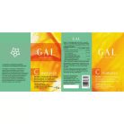 GAL C-komplex