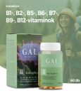 GAL B-komplex