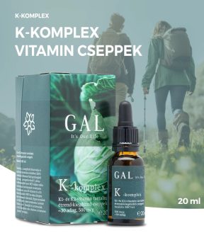 GAL K-komplex